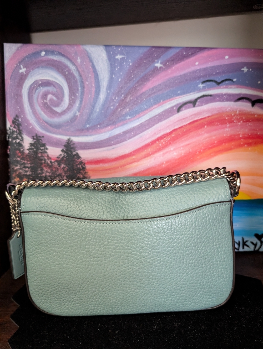 NWOT Coach Blake 20 Crossbody - Picture 3 of 7